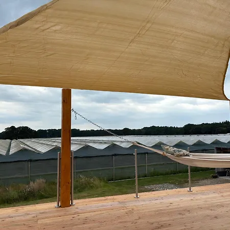 Terrassen Paradies Lueneburger Heide *